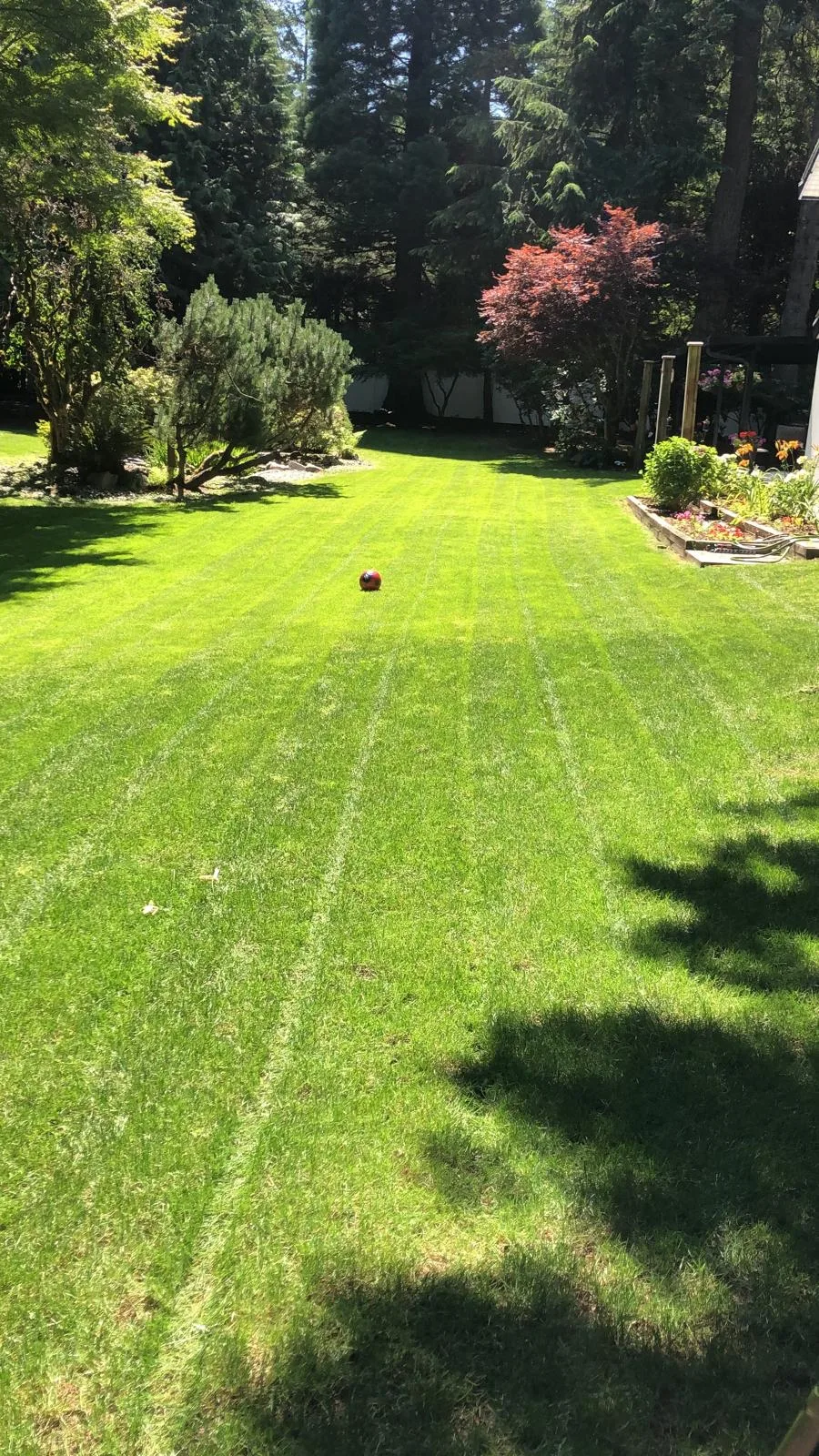 a beautiful lawn that was been taken care of with lawn treatments