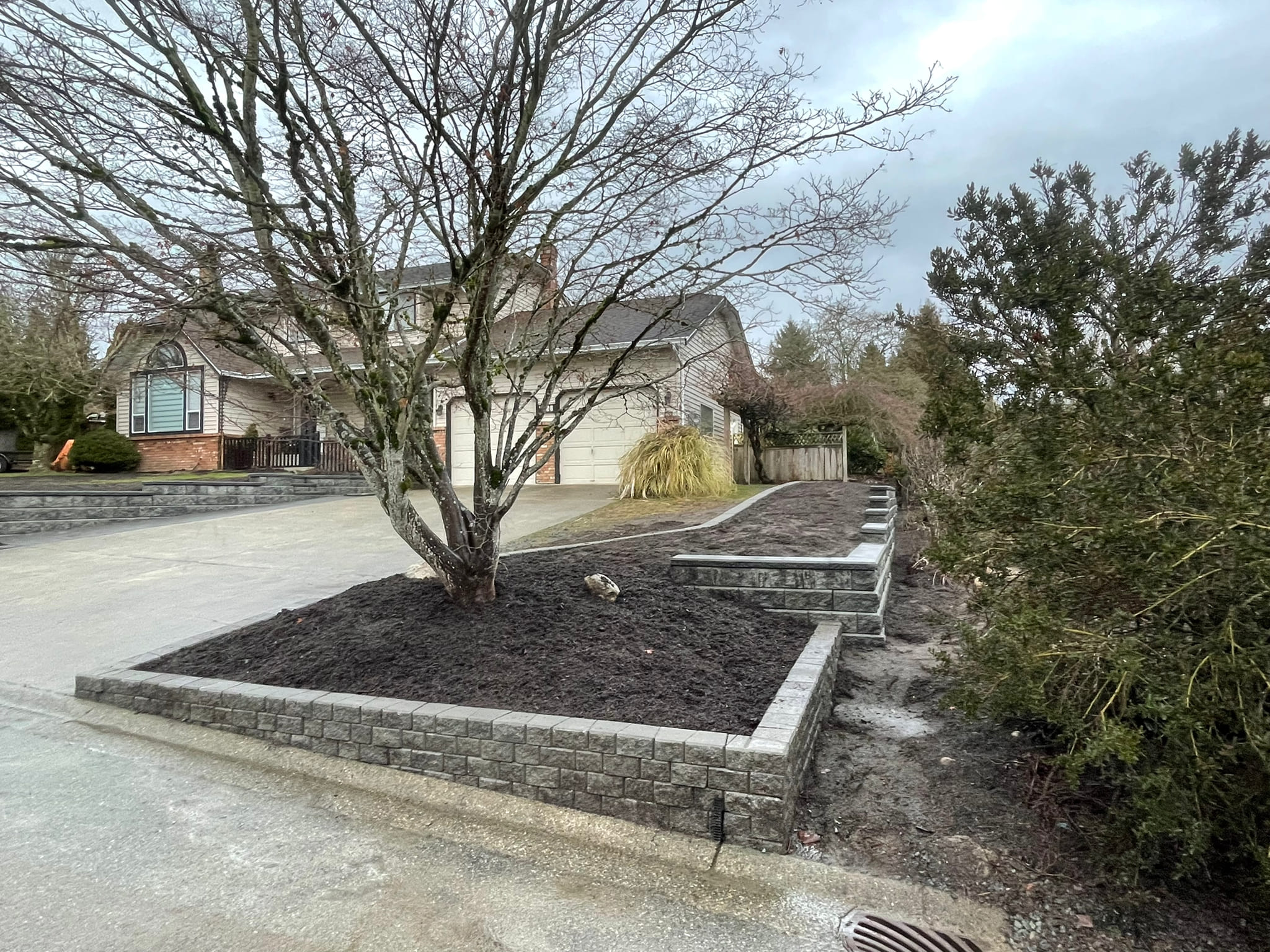 the south side garden bed with the large maple tree now without leaves. the stack stone wall starts at the allan block wall and comes out the the street and follows along hte street then down the driveway
