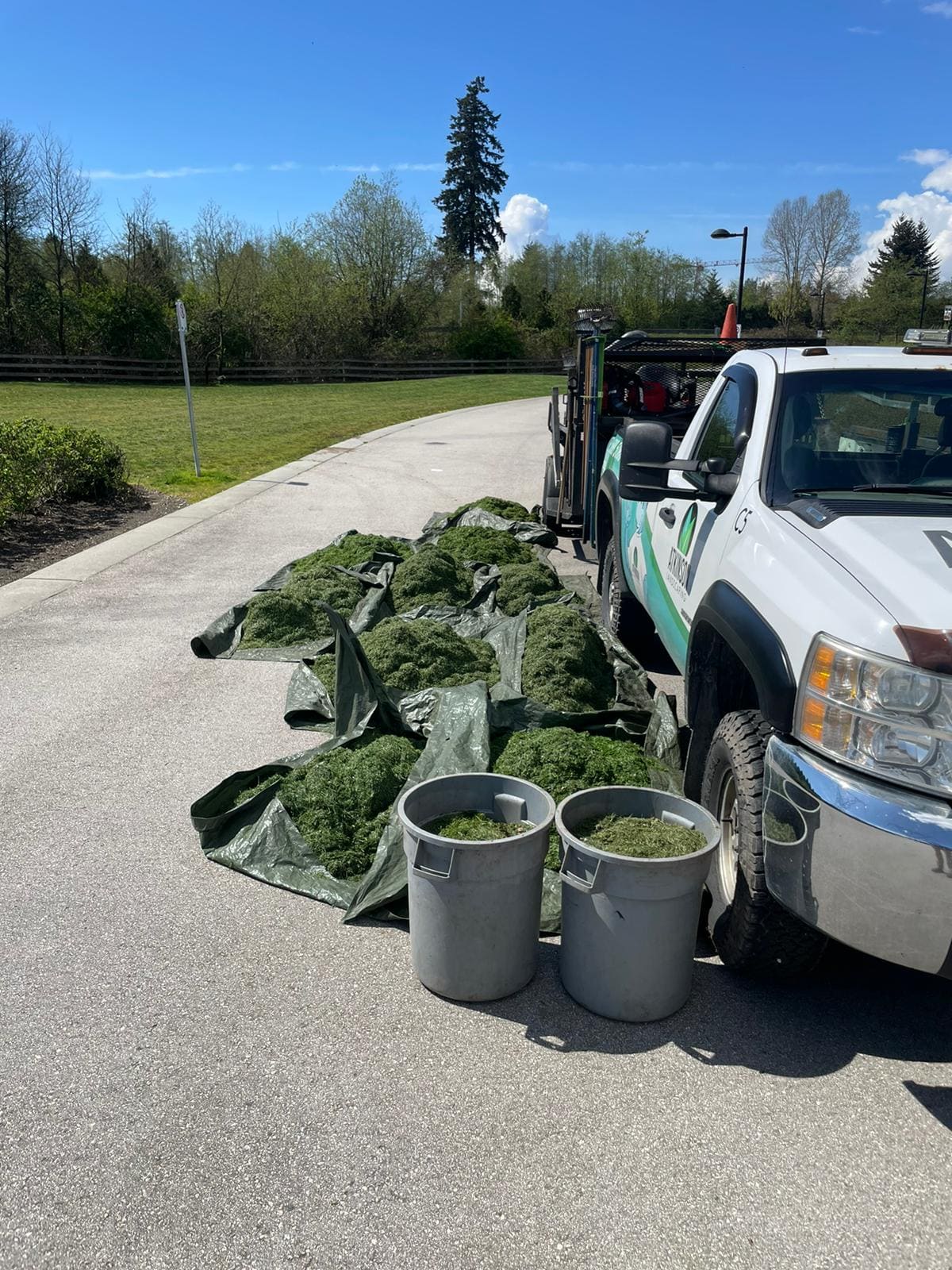 Strata Landscape Maintenance - Atkinson Landscaping Inc