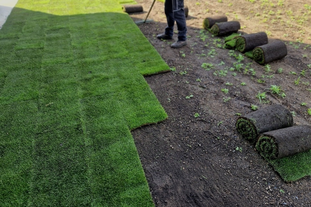 Worker_lays_down_fresh_rolled_sod_on_prepared_soil_with_additional_rolls_of_grass_nearby_ready_for_installation_1024x1024